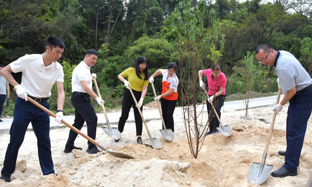 DSC_2294.JPG DSC_2294.JPG